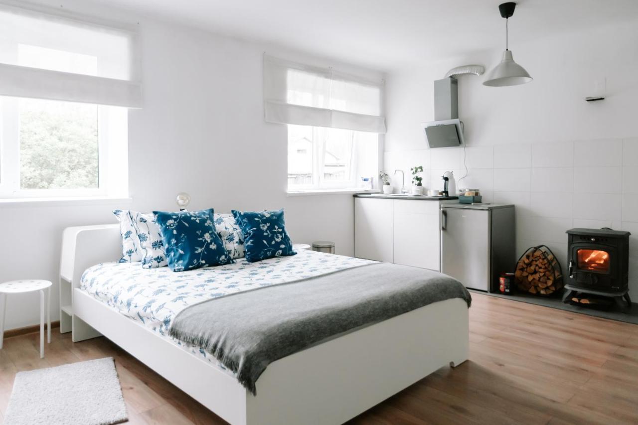 Lake Aluksne Studio Apartment Exteriér fotografie